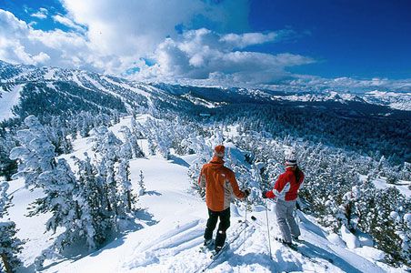 mountain skiing vacation trip travel agent